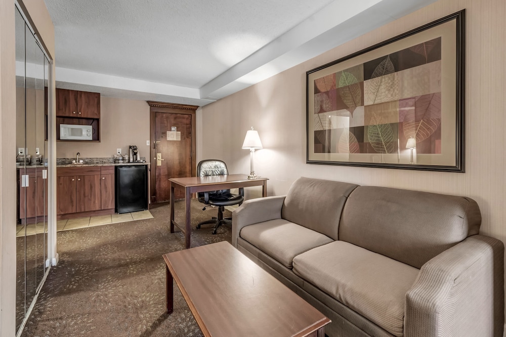 Buffalo Airport Hotel - photo 34