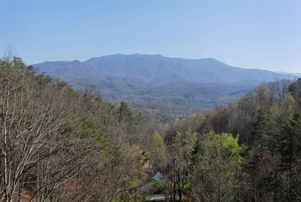 Grandpa Bear's View #233 - photo 38