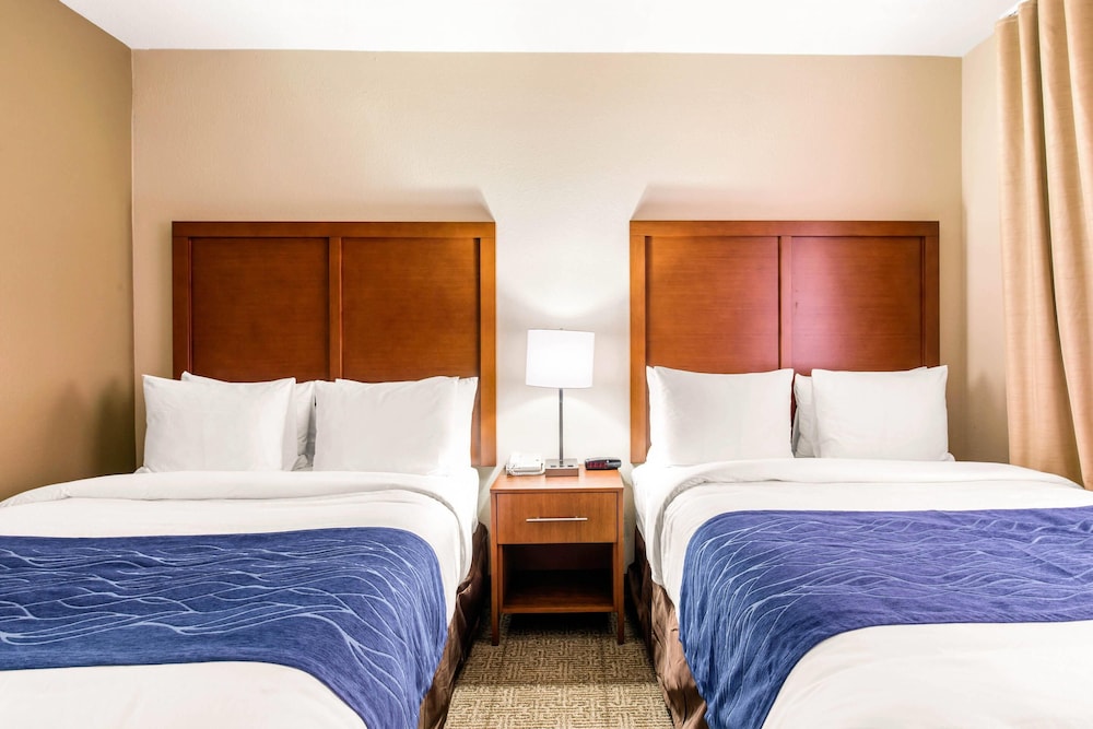Comfort Inn & Suites IAH Bush Airport East - photo 17