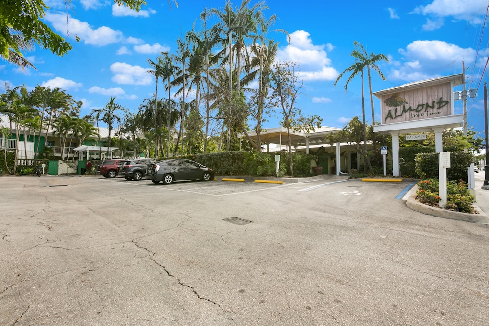 Almond Tree Inn Hotel Adults Only - photo 81