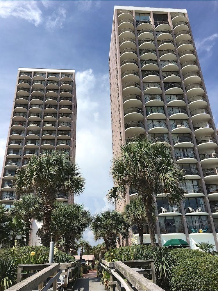 The Palms - photo 21