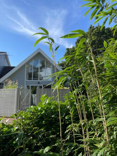 Squirrel - last minute hotel in Southwold