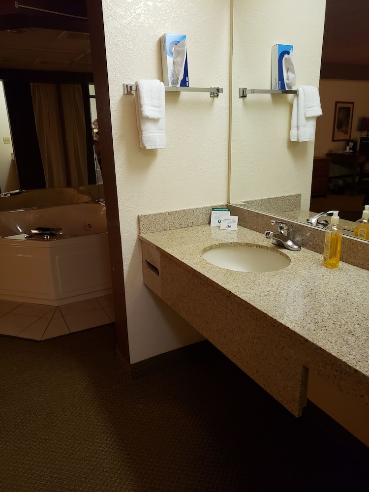 Madelia Hotel & Suites - photo 37