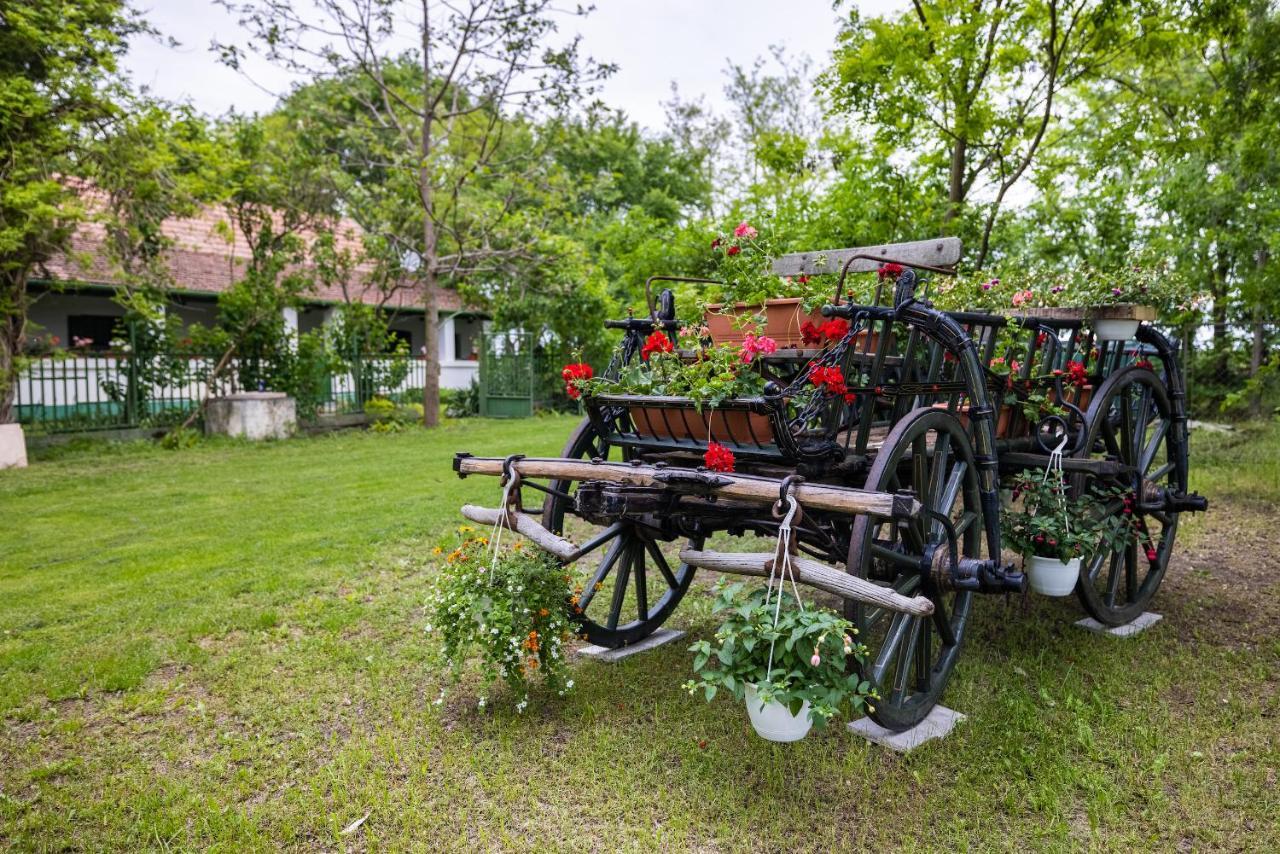 Kisparaszt Vendeghaz pet-friendly hotel Zakanyszek
