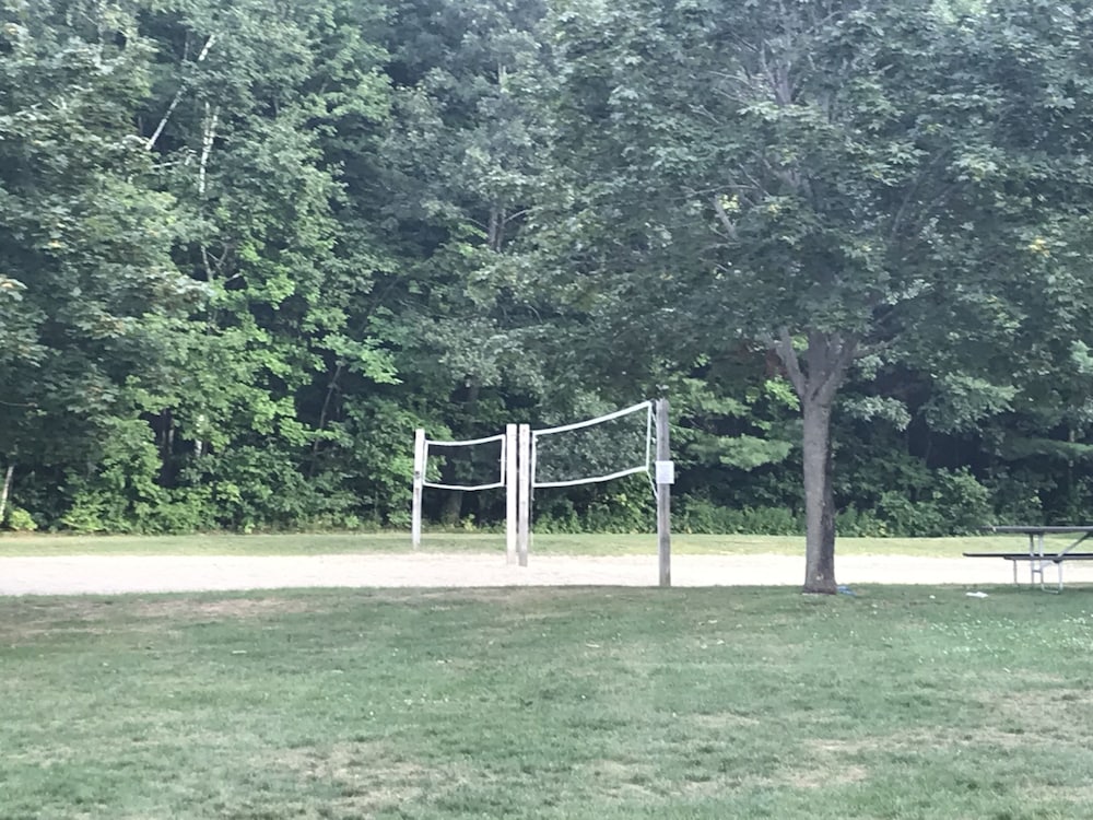 Lakeshore Vermont - photo 116