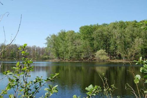 Aux Abords de la Foret - last minute hotel in Unknown City