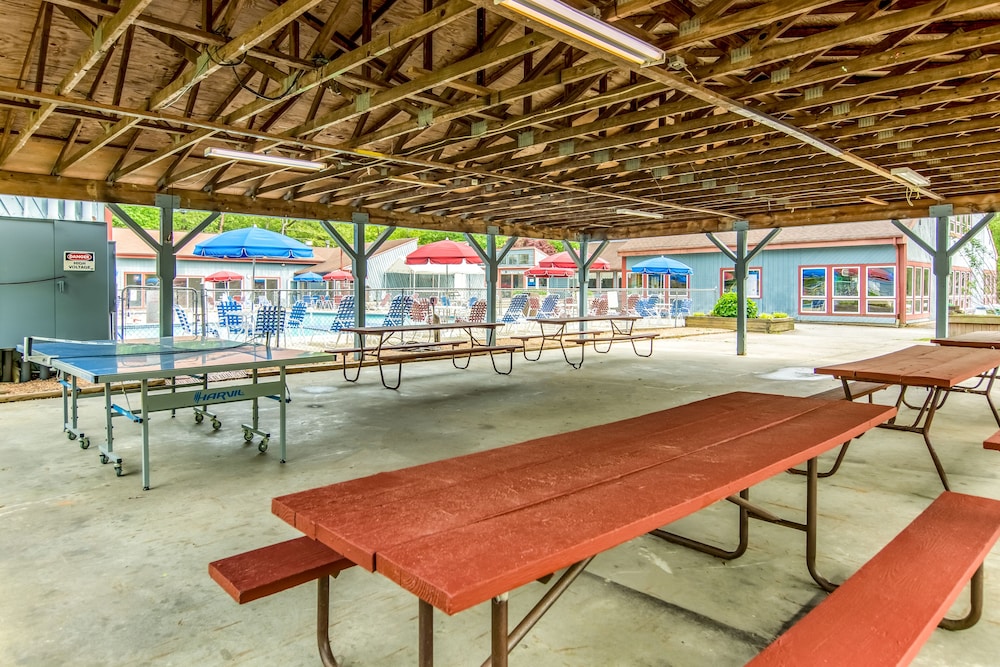 Williamsburg RV & Camping Resort - photo 22