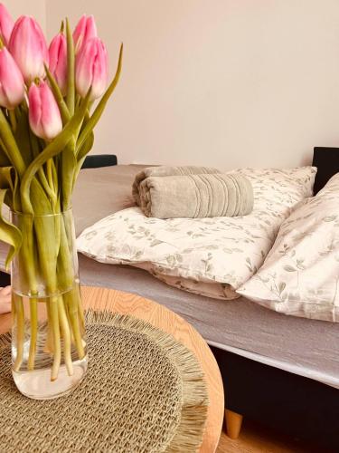 Słoneczny Zakątek in Suwalki, Poland