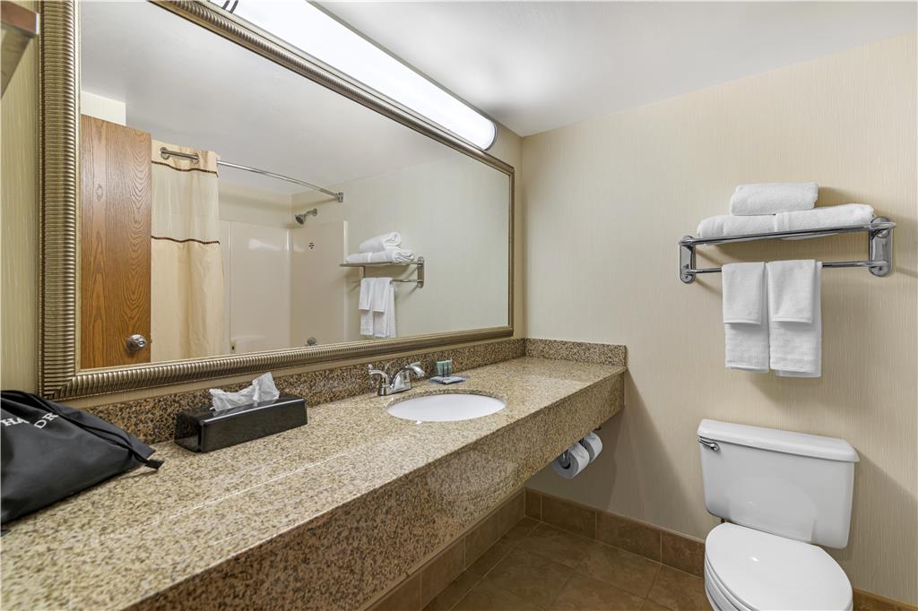 Best Western Royal Plaza Hotel & Trade Center - photo 54