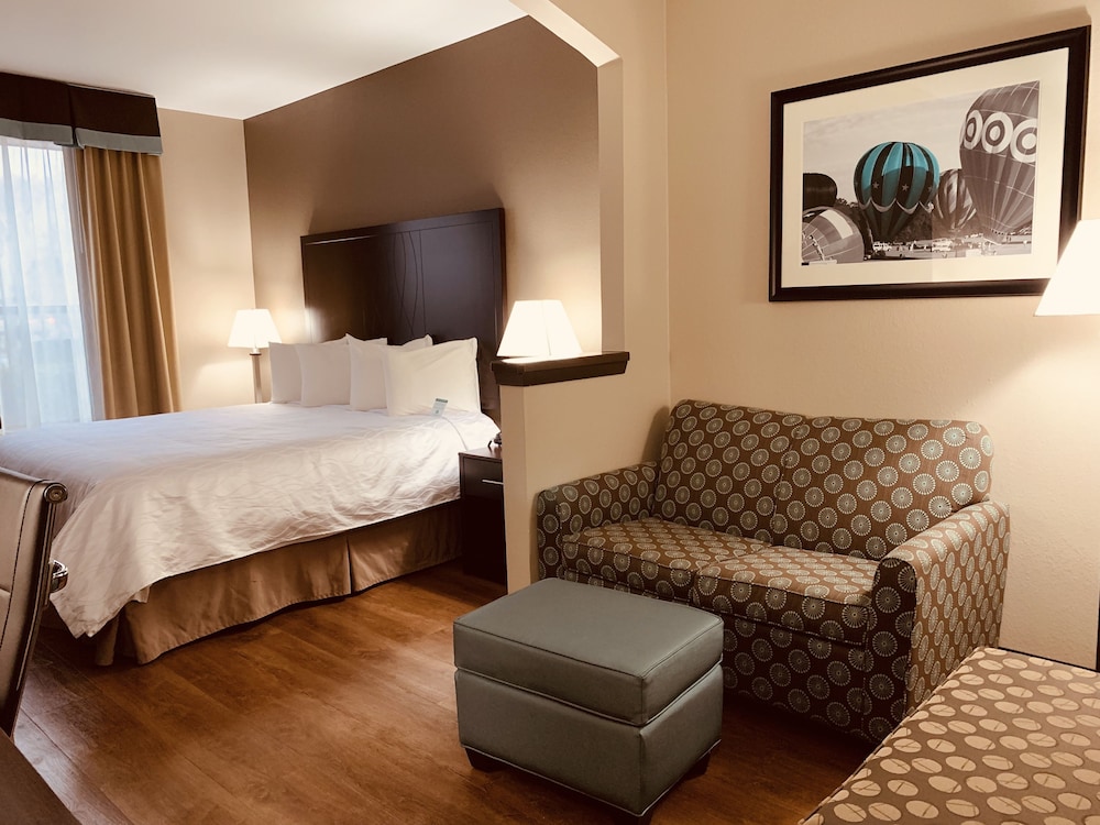 Comfort Suites Plano East Richardson - photo 13