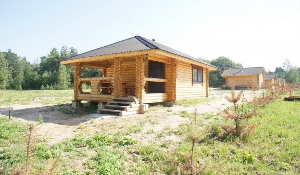 Buryi medved in Staraya Russa, Russia