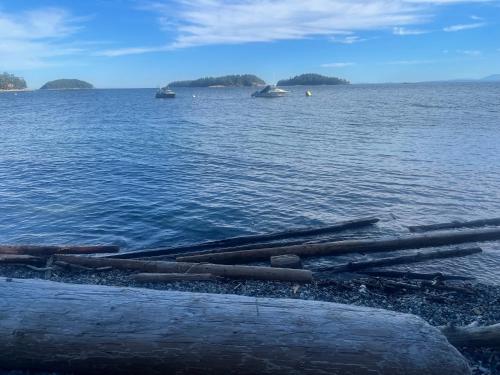 Garden Bridge House — Sechelt — photo 5
