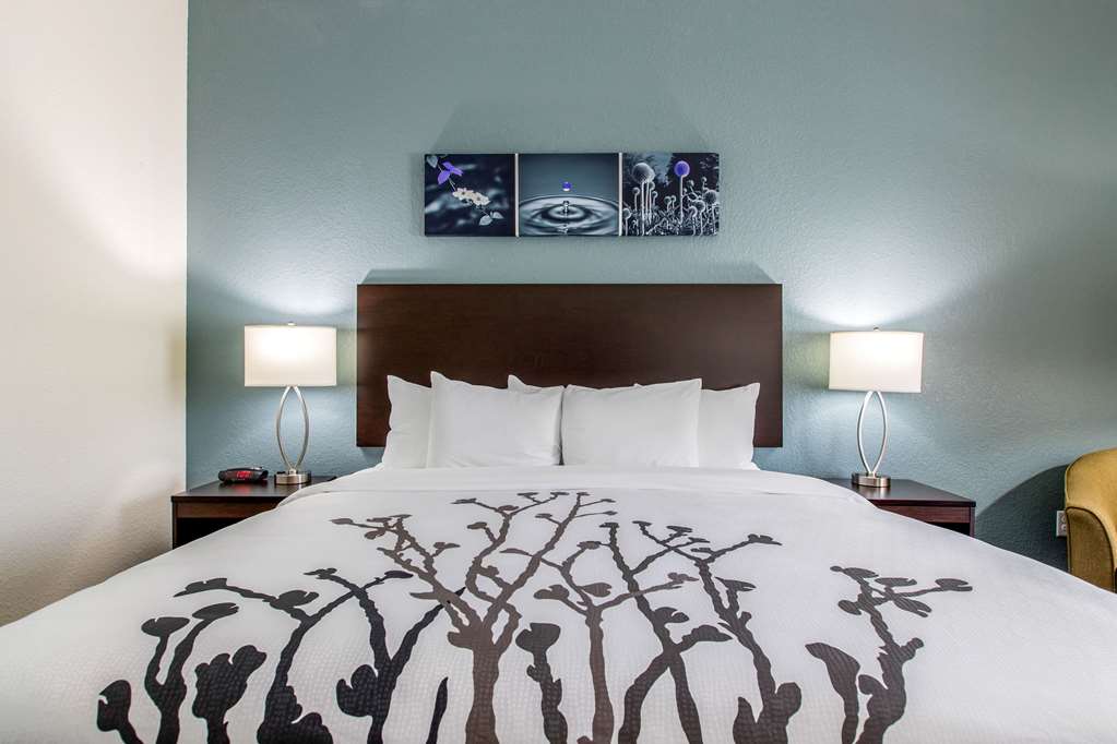 Sleep Inn & Suites Ankeny Des Moines - photo 8