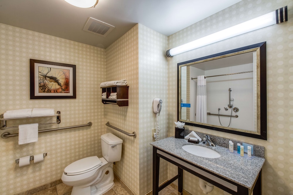 Hampton Inn & Suites Detroit Airport Romulus - photo 20