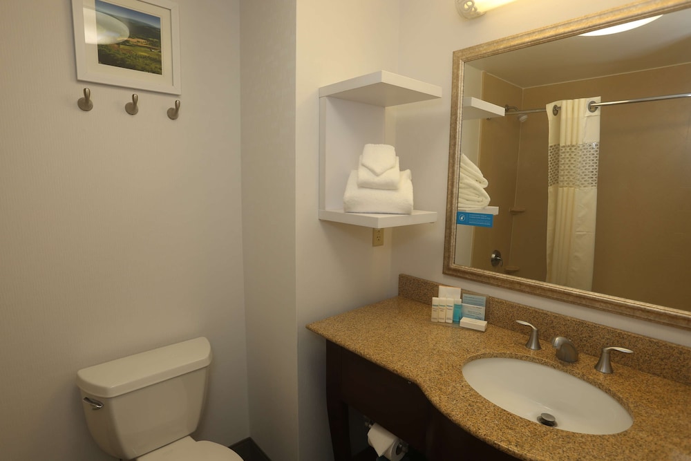 Hampton Inn Owego - photo 18
