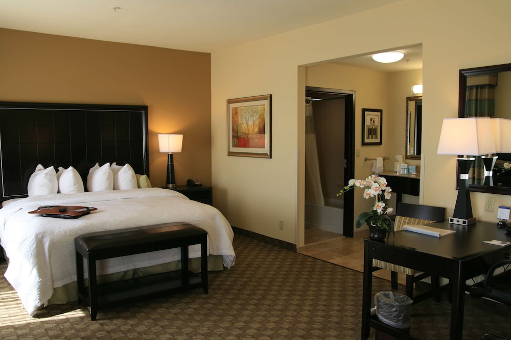 Hampton Inn & Suites McAlester - photo 9