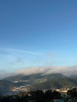 Little Cat — 4-Star Luxury Hotel in Da Lat, Vietnam
