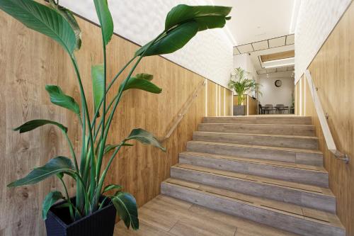 Green House Hotel — Barcelona — photo 3