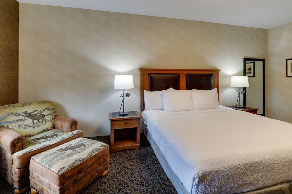 Stoney Creek Hotel Sioux City - photo 8