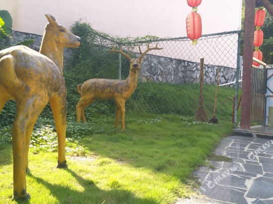 Xianjia Hot Spring Mountain Resort — hotel in Pingle