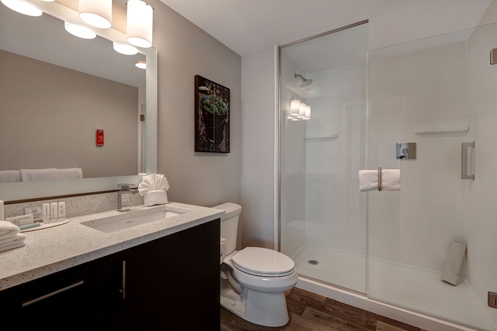 TownePlace Suites San Luis Obispo - photo 30