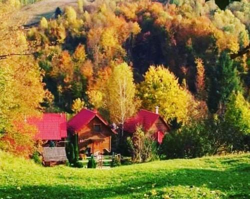 Teremok Guest House — 4-Star Luxury Hotel in Velykyi Bereznyi, Ukraine