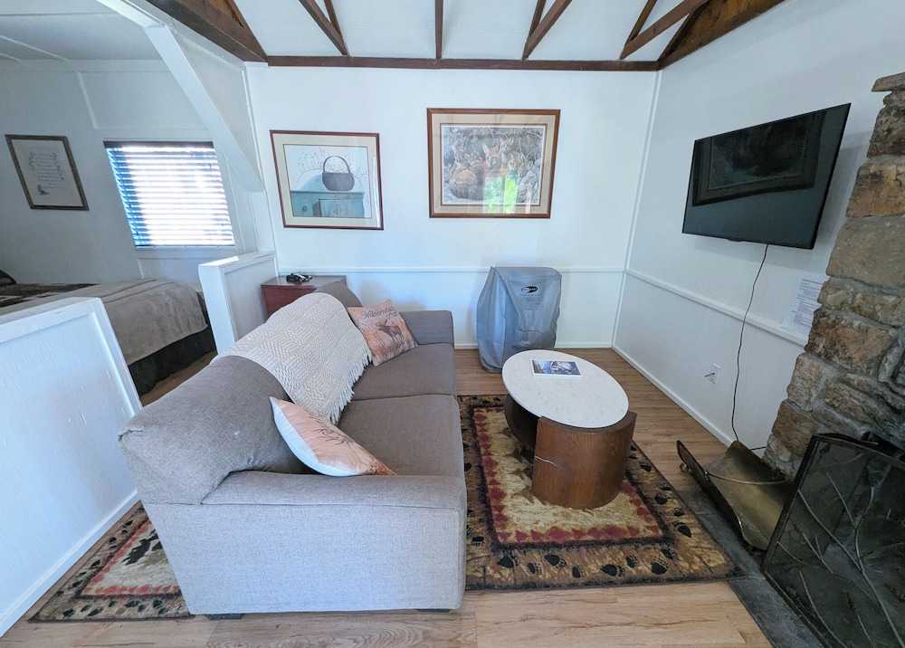 Fox Bear Cottages Big Bear - photo 16