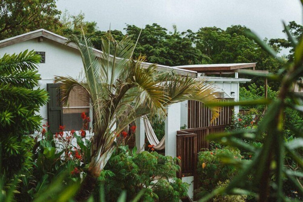 Finca Victoria - photo 12
