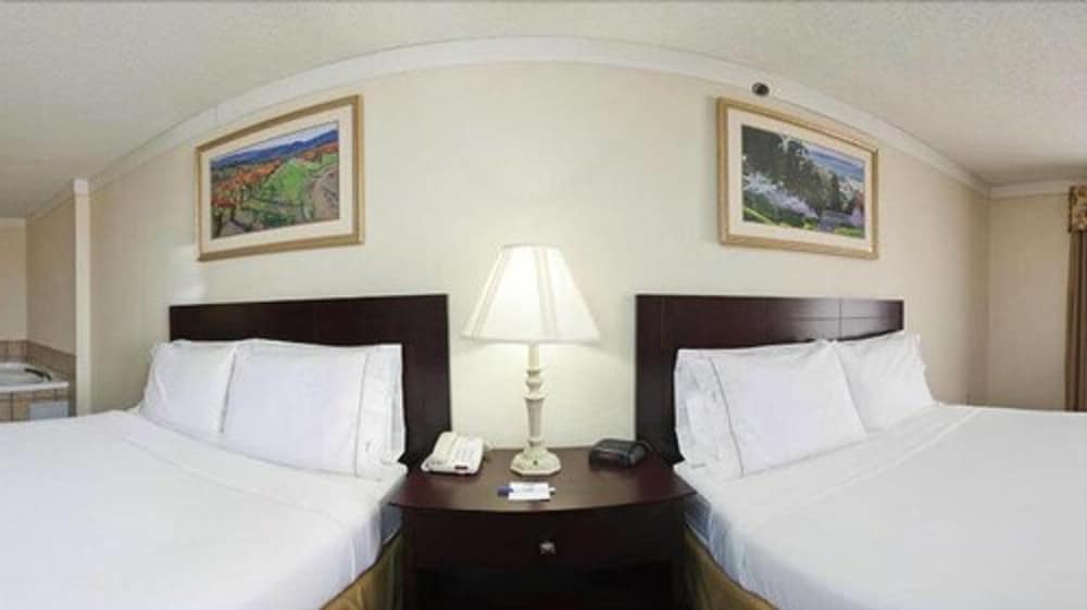 Holiday Inn Express & Suites Plainview by IHG - photo 9