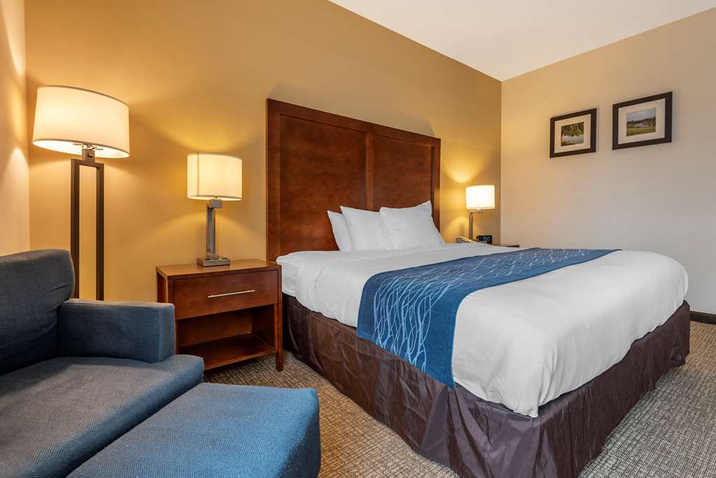 Comfort Inn Apalachin Binghamton W Route 17 - photo 5