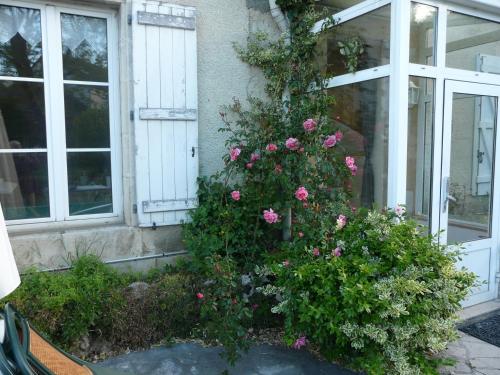Sylvia Hotel — hotel in Chatillon-Sur-Seine