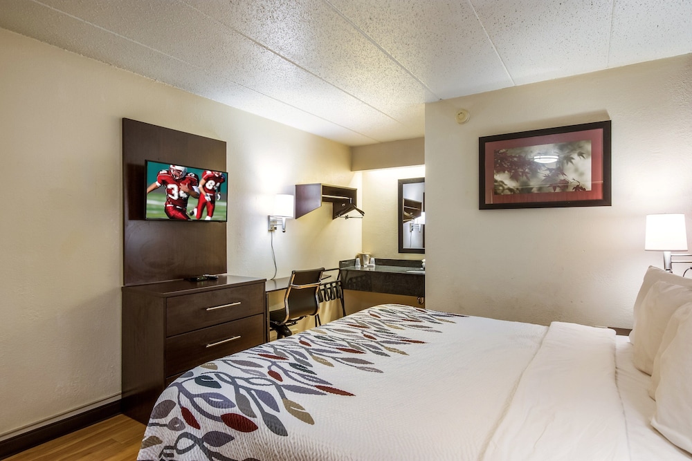 Red Roof Inn Saginaw Frankenmuth - photo 9