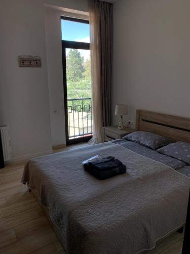 SaBa Apartments in Old Tbilisi