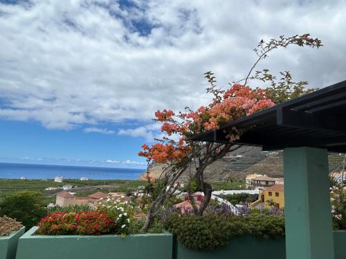 La Casita de Gio. — Tazacorte — photo 5