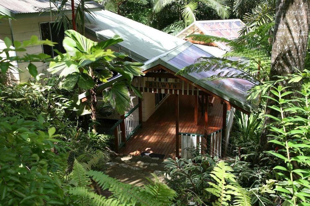 Daintree Secrets Rainforest Sanctuary — Unknown City — photo 2