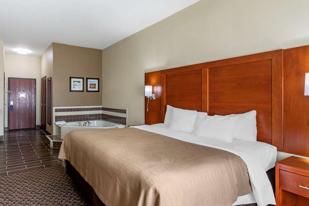 Comfort Inn & Suites Carbondale University Area - photo 10