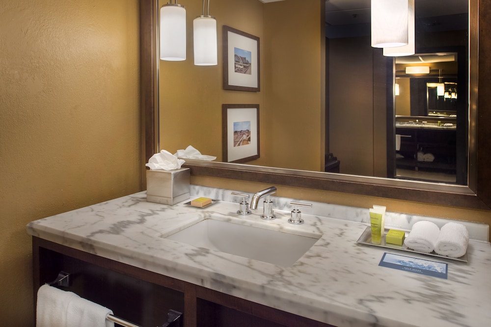 Hilton St. Louis Airport - photo 49