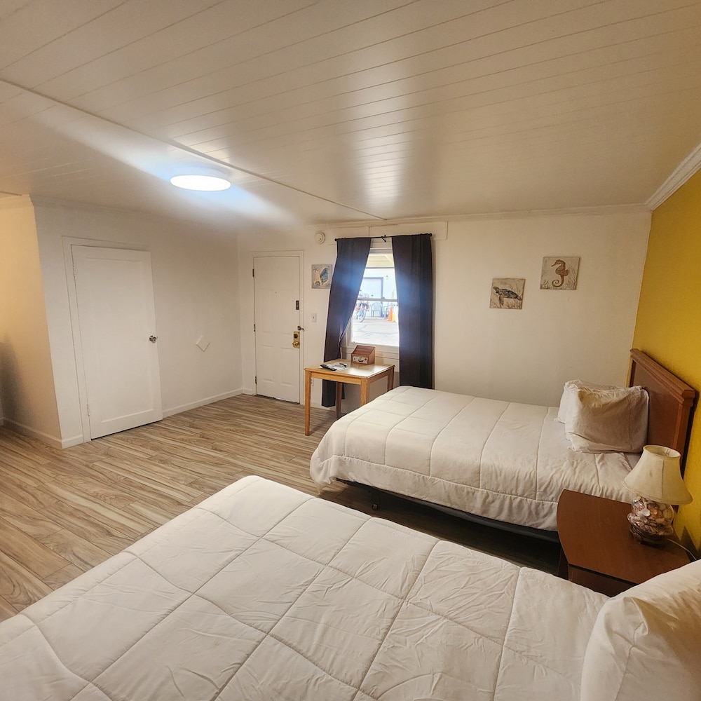 Rose's Motel - photo 46