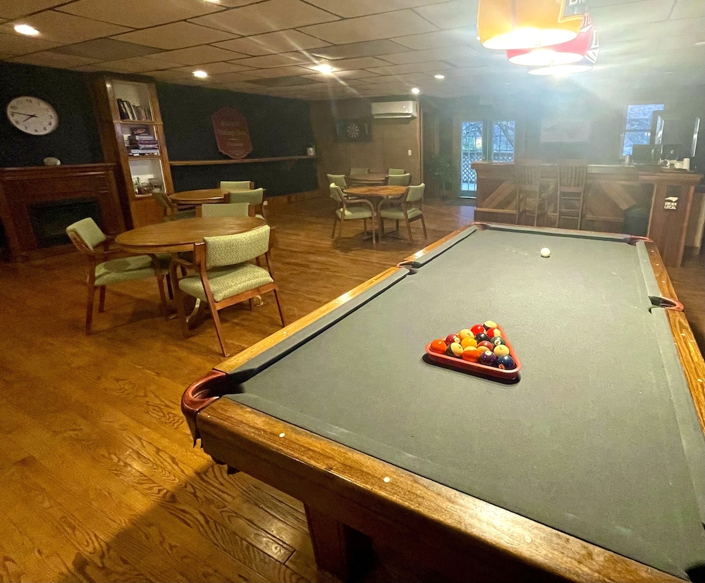 Skyline Village Inn - photo 93