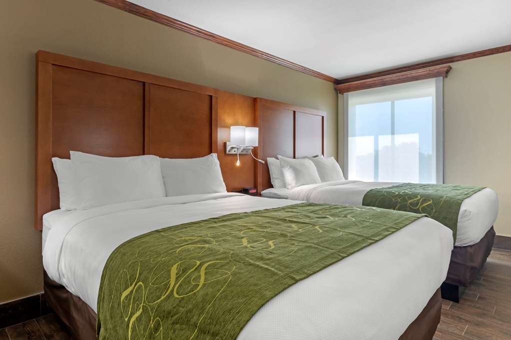 Comfort Suites West Monroe near Ike Hamilton Expo Center - photo 21