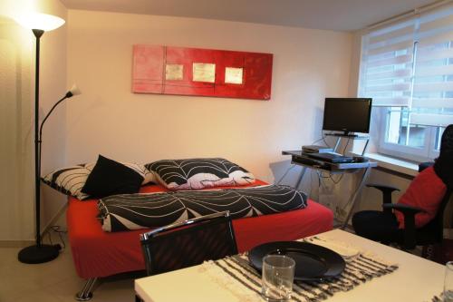Studio Appartment Horgen — Horgen — photo 4
