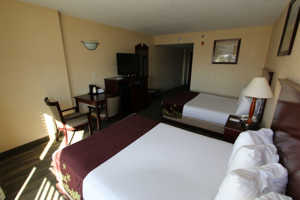 Gold Leaf Hotel of Dewey Rehoboth Beach - photo 11