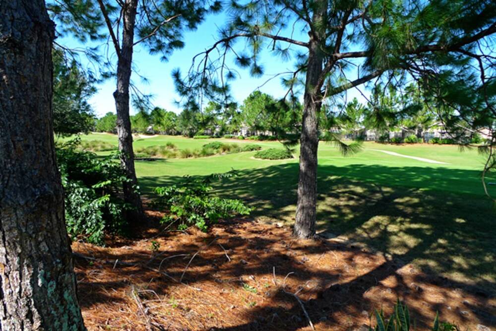 Southern Dunes Golf & Country Club 215184 - photo 28