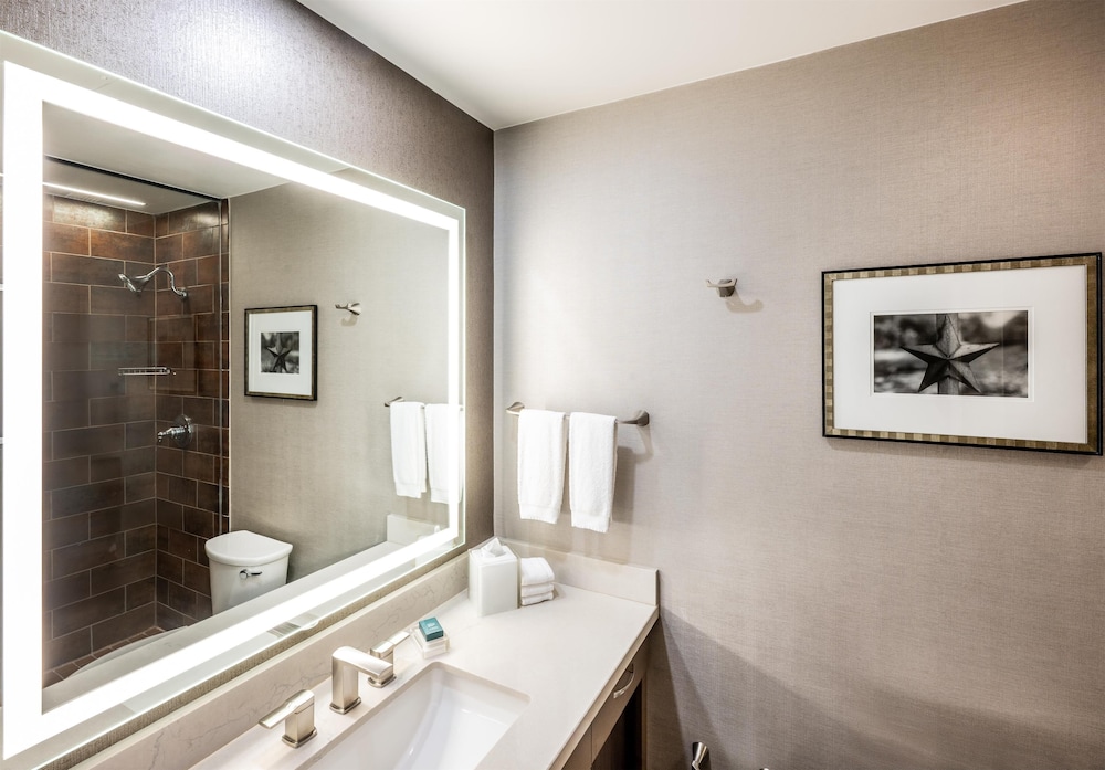 Hilton DFW Lakes Executive Conference Center - photo 18