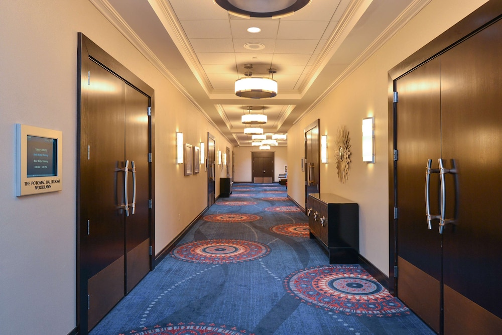 Hotel Belvoir Springfield - photo 28