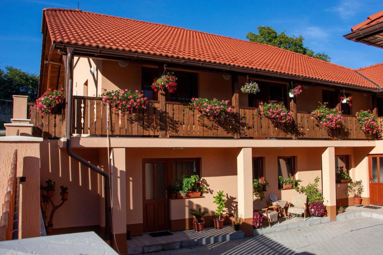 Nyiko Vendeghaz in Lupeni, Romania