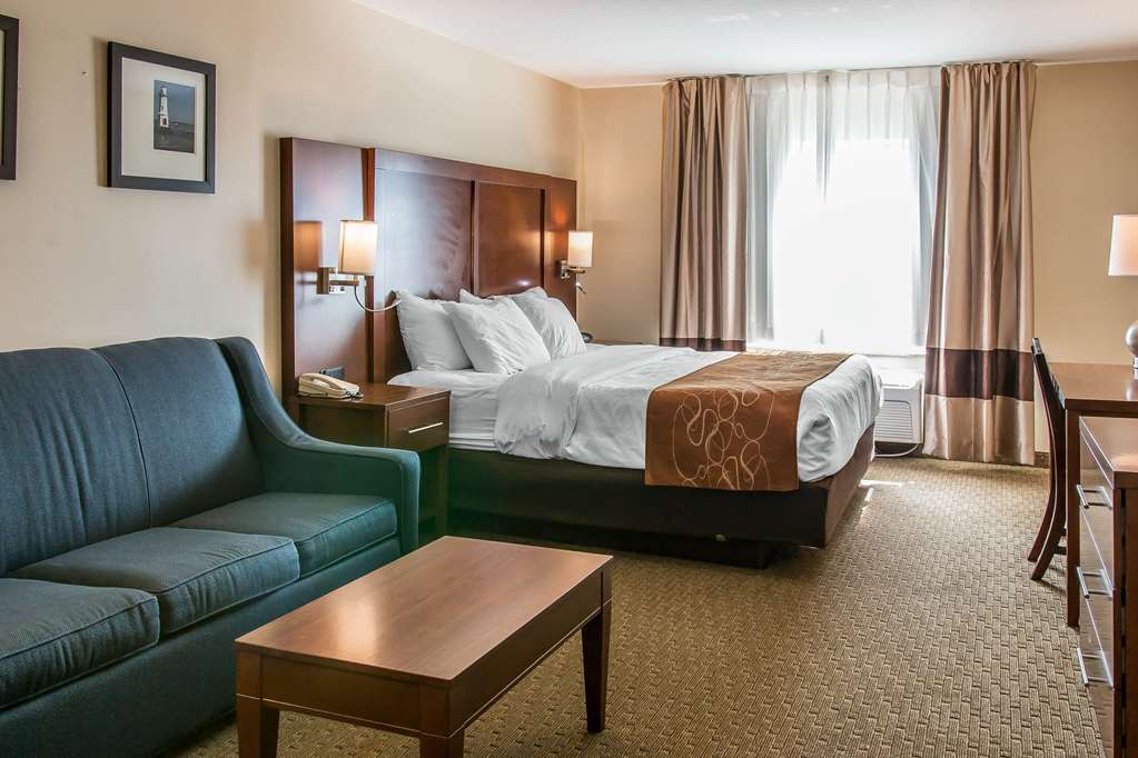 Comfort Suites Wixom Novi - photo 10