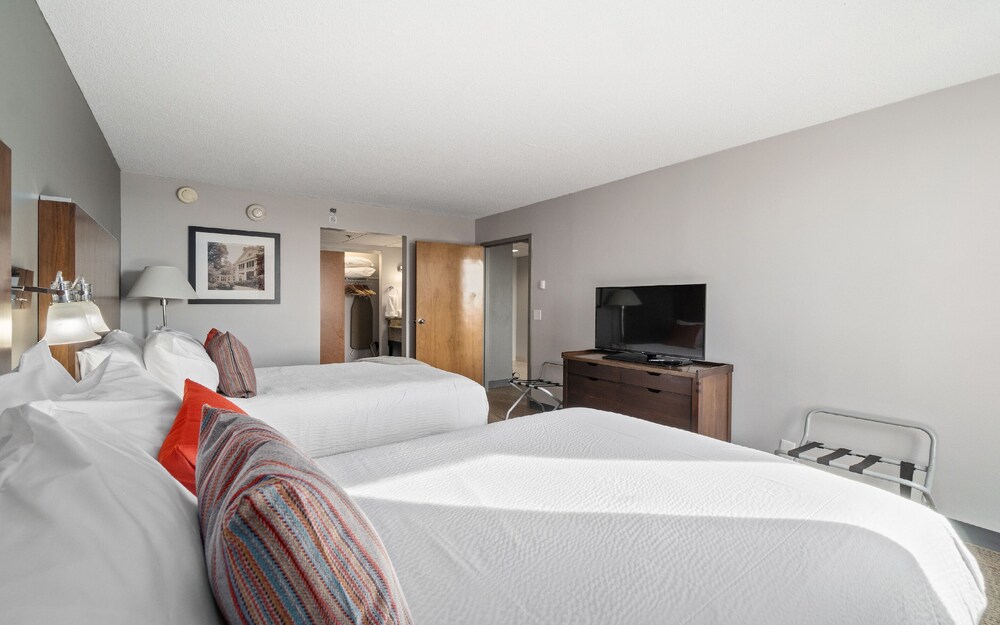 Four Points by Sheraton Charlotte - photo 15
