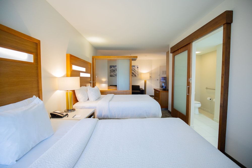 SpringHill Suites by Marriott Baton Rouge Gonzales - photo 16