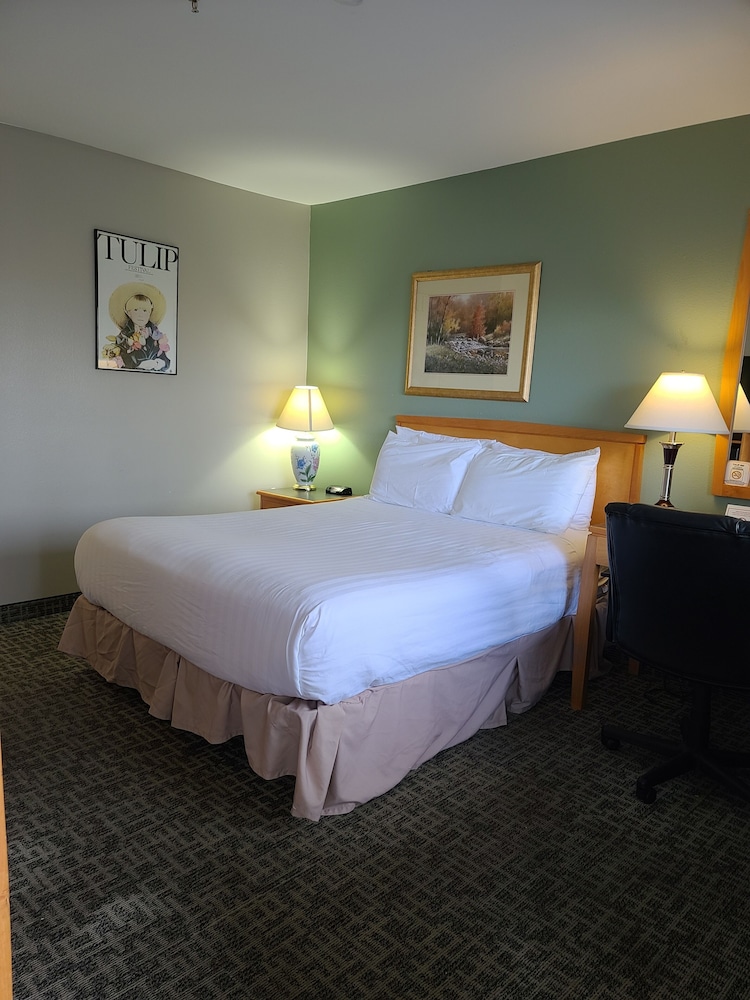 Tulip Inn - photo 7